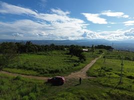  Terreno (Parcela) en venta en San Martín, Tarapoto, San Martín, San Martín