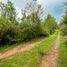  Land for sale in Zinapecuaro, Michoacan, Zinapecuaro