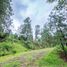  Land for sale in Zinapecuaro, Michoacan, Zinapecuaro