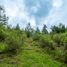  Terreno (Parcela) en venta en Zinapecuaro, Michoacán, Zinapecuaro