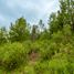  Land for sale in Zinapecuaro, Michoacan, Zinapecuaro