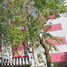 2 Habitación Apartamento en venta en Alvaro Obregon, Ciudad de México, Alvaro Obregon