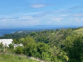  Grundstück zu verkaufen in Negros Oriental, Negros Island Region, Sibulan, Negros Oriental, Negros Island Region