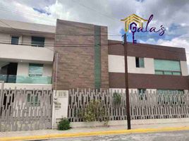 히달고PropertyTypeNameBedroom, San Agustin Tlaxiaca, 히달고