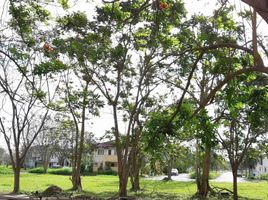  Grundstück zu verkaufen in Binan City, Calabarzon, Binan City, Laguna