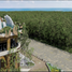 3 Schlafzimmer Appartement zu verkaufen in Cozumel, Quintana Roo, Cozumel