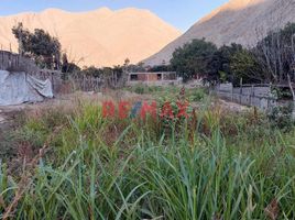  Terreno (Parcela) en venta en Lunahuana, Cañete, Lunahuana