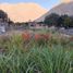  Land for sale in Lunahuana, Lima, Lunahuana