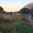  Terreno (Parcela) en venta en Lunahuana, Cañete, Lunahuana