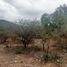 Terrain à vendre à San Martin De Las Piraamides, Mexico, San Martin De Las Piraamides