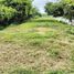  Land for sale in Balerejo, East Jawa, Balerejo, Madiun