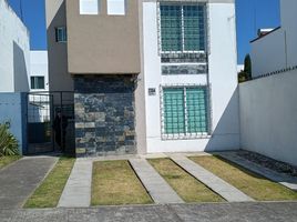 2 Schlafzimmer Haus zu verkaufen in Toluca, Mexico, Toluca