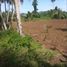  Land for sale in Minahasa, North Sulawesi, Wori, Minahasa