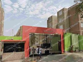 3 Habitación Apartamento en venta en Puente Piedra, Lima, Puente Piedra, Lima, Lima