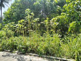  Land for sale in Liloan, Cebu, Liloan