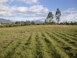  Terreno (Parcela) en venta en Pintag, Quito, Pintag