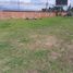  Land for sale in Puembo, Quito, Puembo