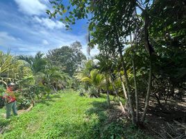  Land for sale in Chone, Manabi, Chone, Chone