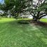  Land for sale in Compostela, Nayarit, Compostela