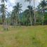  Grundstück zu verkaufen in Island Garden Samal City, Davao, Island Garden Samal City, Davao del Norte