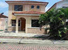 3 Bedroom House for sale in Samborondon, Guayas, Samborondon, Samborondon