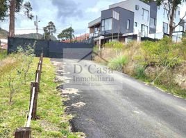  Land for sale in Cuenca, Azuay, Cuenca, Cuenca