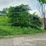  Land for sale in Rizal, Calabarzon, Antipolo City, Rizal