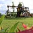  Terreno (Parcela) en venta en Santa Rosa City, Calabarzon, Santa Rosa City