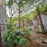  Terreno (Parcela) en venta en Quezon City, Metro Manila, Quezon City, Eastern District, Metro Manila