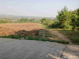  Land for sale in Gondang, Mojokerto, Gondang