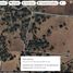  Land for sale in Singuilucan, Hidalgo, Singuilucan