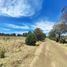  Land for sale in Singuilucan, Hidalgo, Singuilucan