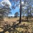  Land for sale in Singuilucan, Hidalgo, Singuilucan