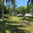  Land for sale in Negros Oriental Negros Island Region, Dauin, Negros Oriental, Negros Island Region