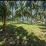 在莱特岛出售的 土地, Dauin, Negros Oriental, 莱特岛