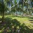 在莱特岛出售的 土地, Dauin, Negros Oriental, 莱特岛