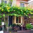3 Schlafzimmer Villa zu verkaufen in Angeles City, Central Luzon, Angeles City, Pampanga, Central Luzon, Philippinen