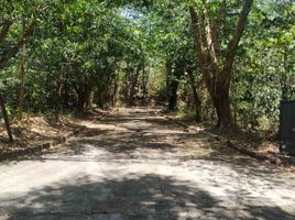  Land for sale in Rizal, Calabarzon, Tanay, Rizal