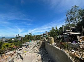  Grundstück zu verkaufen in Cebu, Central Visayas, Cebu City