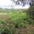  Land for sale in Bangli, Bali, Kintamani, Bangli