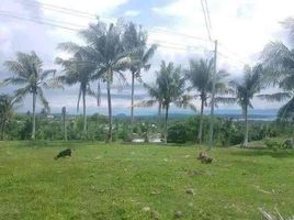  Land for sale in Dumanjug, Cebu, Dumanjug