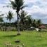  Land for sale in Dumanjug, Cebu, Dumanjug