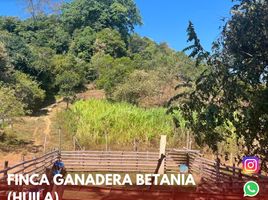 3 Habitación Villa en venta en Campoalegre, Huila, Campoalegre