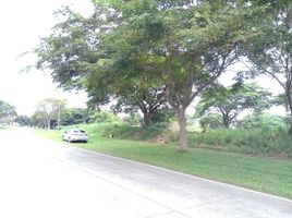  Land for sale in Calamba City, Calabarzon, Calamba City