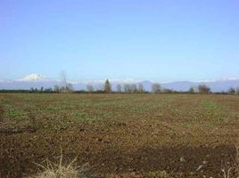  Land for sale in Parral, Linares, Parral