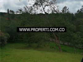 Terrain à vendre à Envigado, Antioquia, Envigado, Antioquia