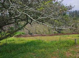  Land for sale in Basilica of the National Vow, Quito, Quito, Quito