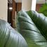 4 Bedroom House for sale in Santa Marta, Magdalena, Santa Marta