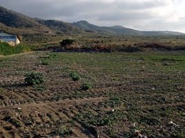  Terreno (Parcela) en venta en Montecristi, Manabi, Montecristi, Montecristi