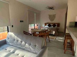 1 Bedroom Apartment for rent in Cozumel, Quintana Roo, Cozumel, Quintana Roo